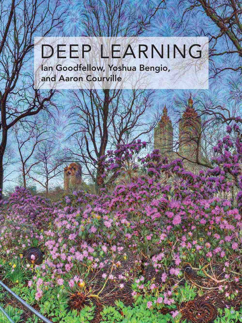 Cover of the deep learning book by Goodfellow, Bengio and Courville