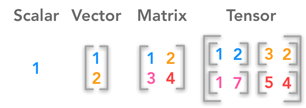 An example of a scalar, a vector, a matrix and a tensor