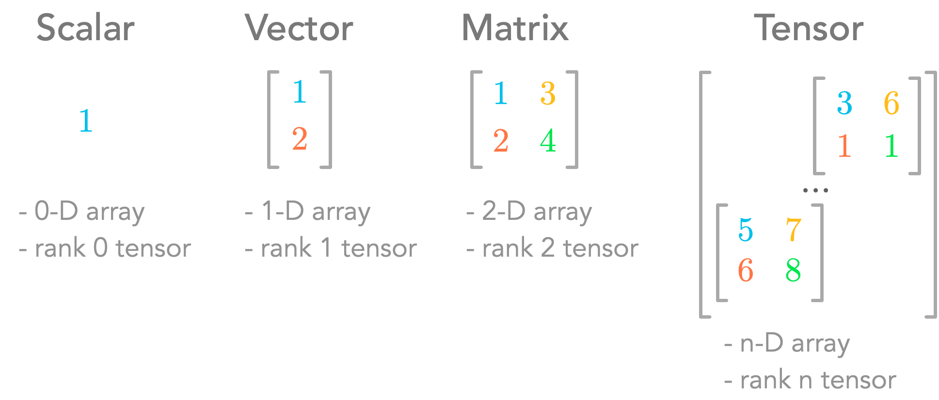 Scalars, vectors, matrices and tensors